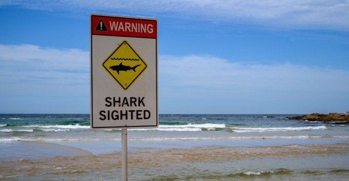 Ein Warnschild mit der Aufschrift „Shark sighted“ steht am Strand und weist auf Hai-Sichtungen im Meer vor Australiens Ostküste hin.