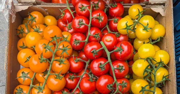 Nahaufnahme von reifen roten, orangefarbenen und gelben Kirschtomaten mit frischen grünen Stielen