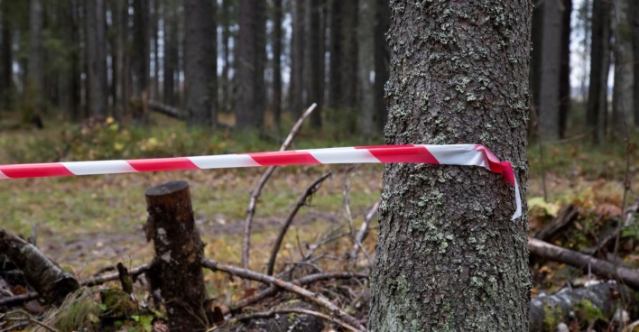 Absperrband in einem Wald/ 14-Jähriger tot im Wald in Dormagen gefunden