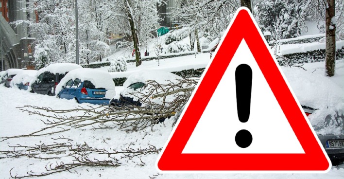 Schneechaos in der Steiermark – umgestürzte Äste bedecken Autos, Behörden lösen AT-Alert-Notfallalarm wegen starker Schneefälle und Schneebruchgefahr aus.