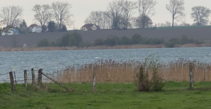 Buckelwal Timmy aktuell auf Sandbank in der Ostsee bei Poel, flaches Wasser und Küstenlandschaft sichtbar