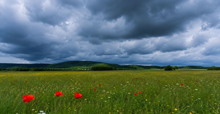 Kaltfront mit dunklen Gewitterwolken über grüner Wiese in Österreich, Wetterumschwung nach Hitzewelle
