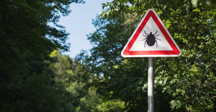 Warnschild vor Zecken die das Alongshan Virus in Österreich übertragen