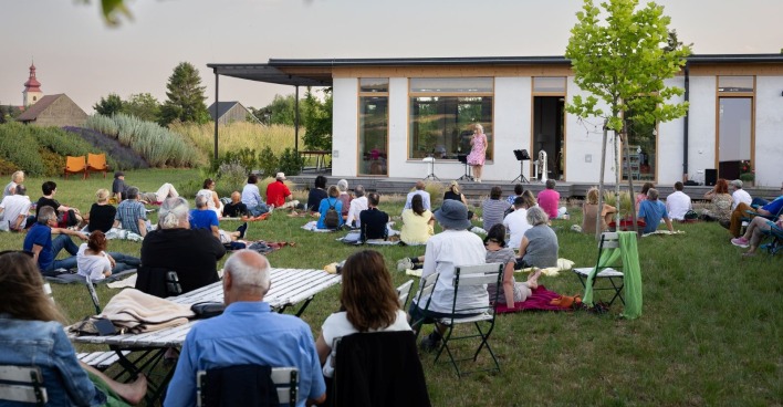 Konzert_in_der_Wiese