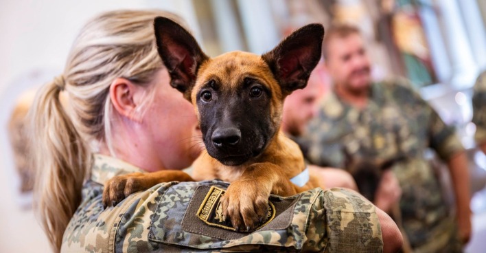 Ein Schäferhund in den Armen einer Soldatin des österreichischen Bundesheeres