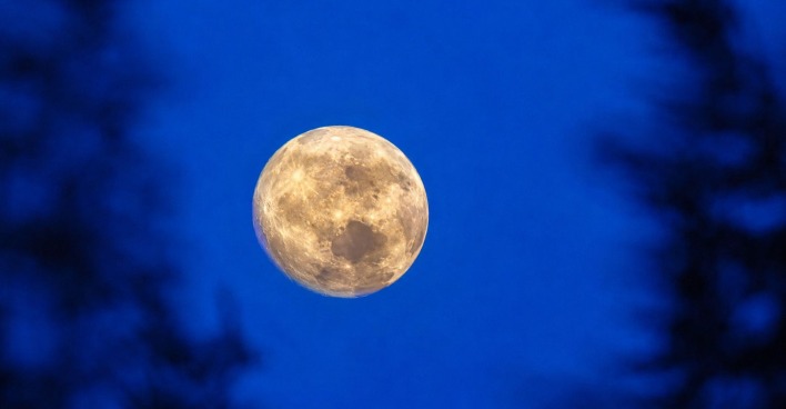 Goldgelber Vollmond vor tiefblauem Nachthimmel, umrahmt von dunklen, verschwommenen Zweigen.