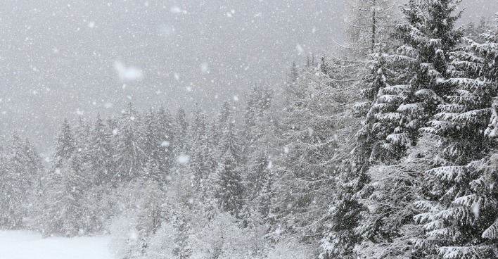 Schnee in Österreich: Besonders betroffen sind Vorarlberg, Tirol, Salzburg und Teile der Obersteiermark.