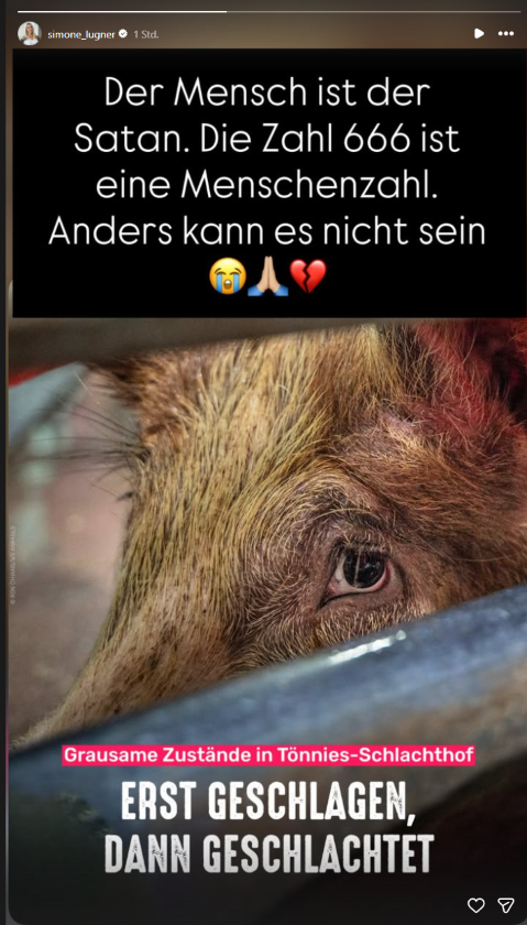 Simone Lugner teilt auf Instagram ein emotionales Tierschutz-Posting mit einem Schwein und den Worten „Der Mensch ist der Satan“.