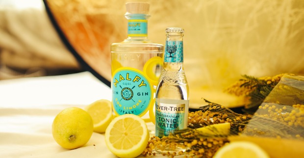 Gin und Tonic mit Zitrone