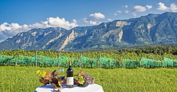 Weingut | Credit: Weingut Reiterhaindl
