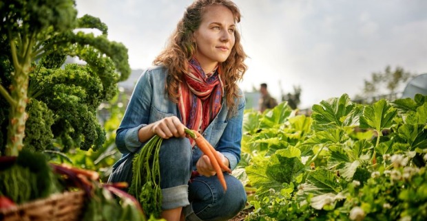 Biologisch hergestellte Lebensmittel als Zeichen der Nachhaltigkeit | Credit: iStock.com/julief514