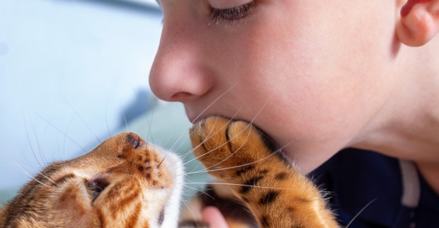 Katzen und ihre Besitzer - eine innige Beziehung | Credit: iStock.com/Anna Derzhina