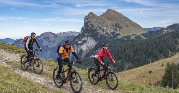 Drei Radfahrer in einer bewaldeten Gebirgslandschaft