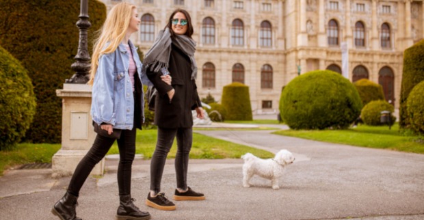 Hunde Wien Hotels