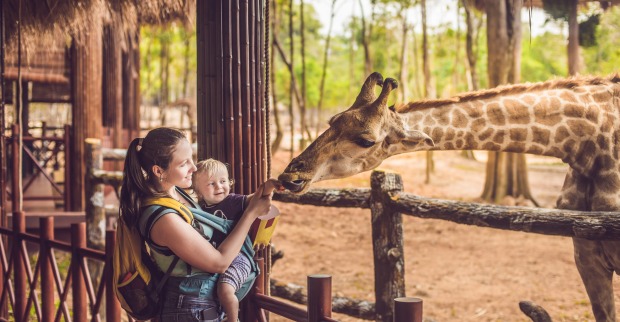 Die besten Zoos in Europa | Credit: iStock.com/galitskaya