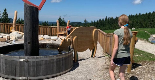 Nikis Alm-Abenteuer