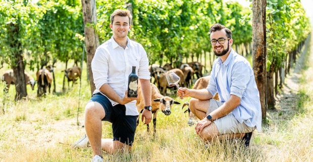 Weingut Auer