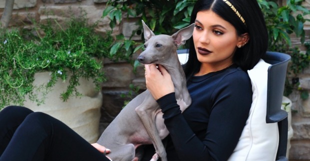 Star-Haustiere auf Insta | Credit: MICHAEL SIMON / Action Press / picturedesk.com