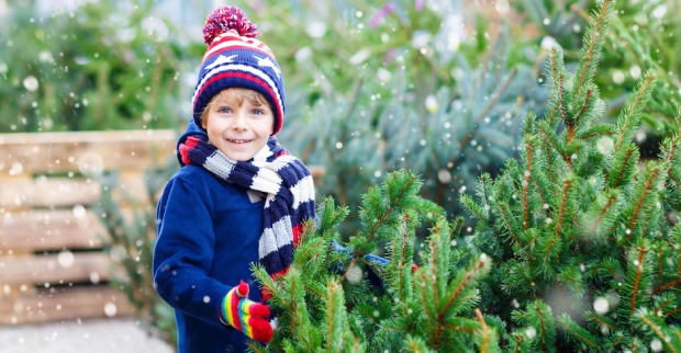 Bub mit Weihnachtsbaum im Schnee | Credit: iStock.com/romrodinka