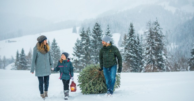 Gemeinsam einen Weihnachtsbaum aussuchen | Credit: SalzburgerLand Tourismus/Michael Groessinger