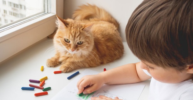 Kleine Katze leistet einem Jungen Gesellschaft, der gerade zeichnet | Credit: iStock.com/Konstantin Aksenov