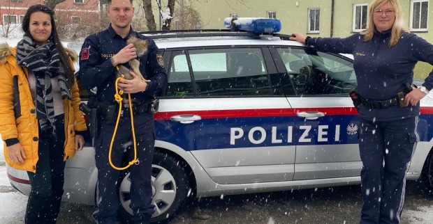 Polizist aus Stainach