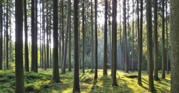 Klimaschutz