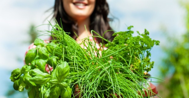 Frau hält Kräuter in der Hand | Credit: iStock.com/kzenon