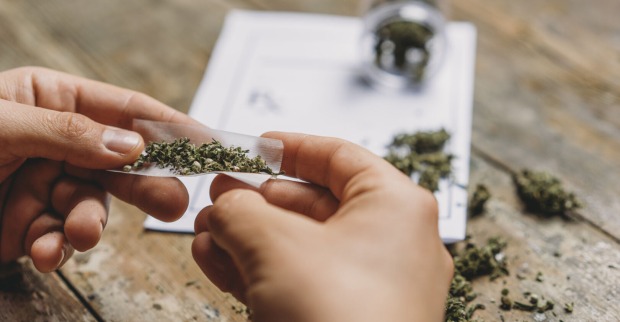 Cannabis