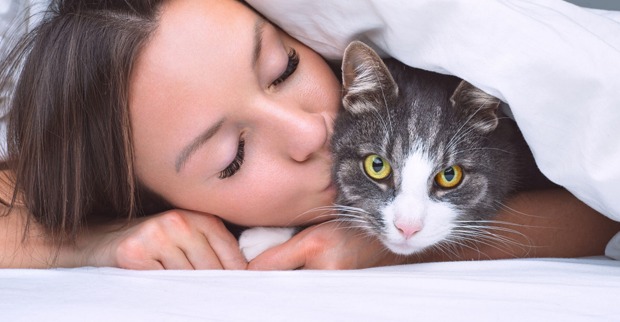 Katze und ihre Besitzerin kuscheln gemeinsam unter der Bettdecke | Credit: iStock.com/Daria Kulkova