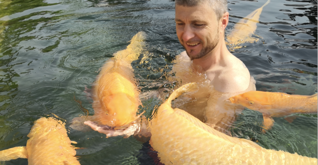 Reinfried Herbst schwimmt mit seinen Fischen. | Credit: koialm-salzburg.at
