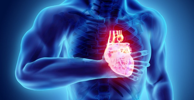 Warnsignale des Körpers | Credit: iStock.com/yodiyim
