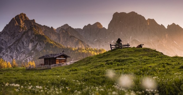Alm-Idylle | Credit: Salzburger Saalachtal Tourismus/Fotomagie