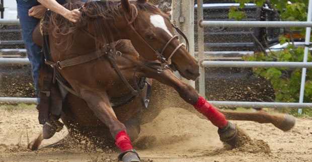 Reitunfall
