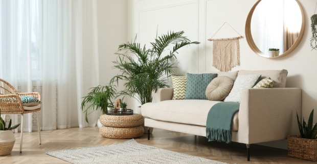Sofa steht in einem Wohnzimmer | Credit: iStock.com/Liudmila Chernetska
