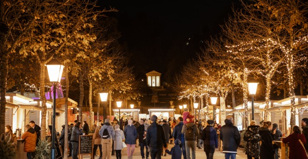 Advent im Park