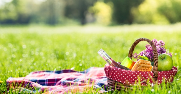 Picknick im Grünen