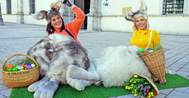Zwei Frauen als Osterhasen verkleidet am Boden sitzend
