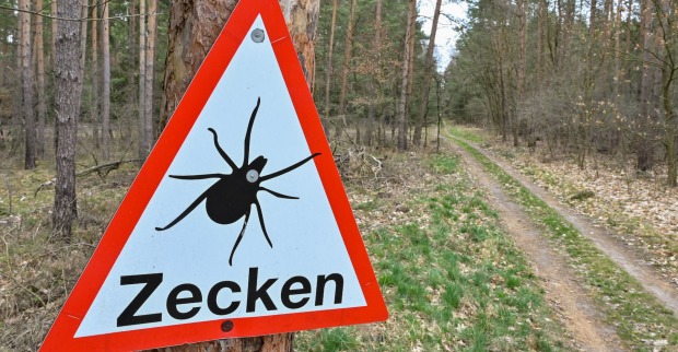 Ein dreieckiges Hinweisschild, dass ich in diesem Gebiet viele Zecken befinden.