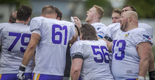 Vienna Vikings