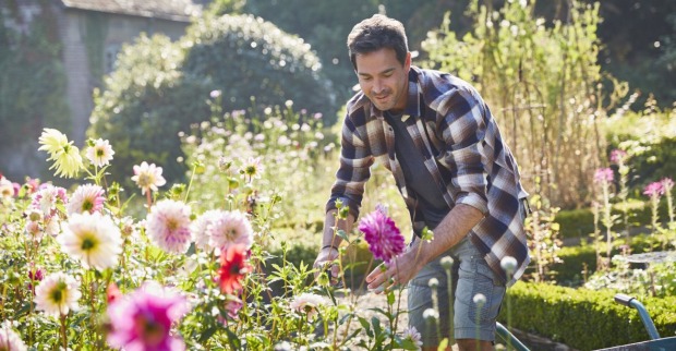 Mann bei der Gartenarbeit | Credit: iStock.com/Caiaimage/Chris Ryan