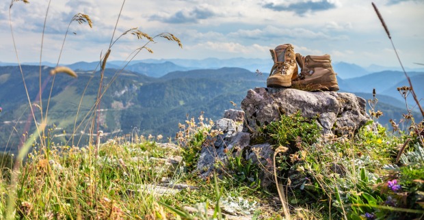 Ybbstaler Alpen