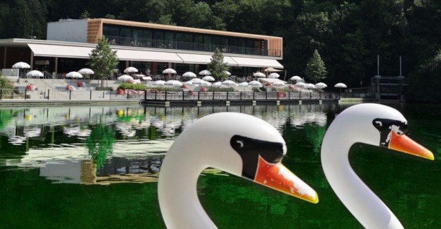 Waldcafé am Thalersee