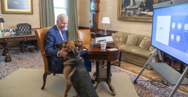 US-Präsident Joe Biden streichelt seinen Hund "Commander".