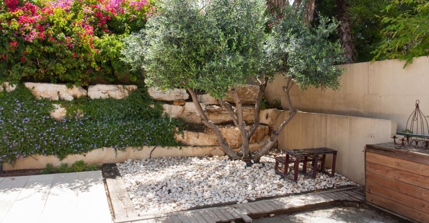 Mediterraner Garten | Credit: iStock.com/RonyZmiri