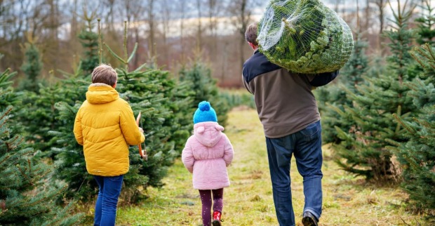 Ein Vater kauft mit zwei Kindern einen Christbaum.