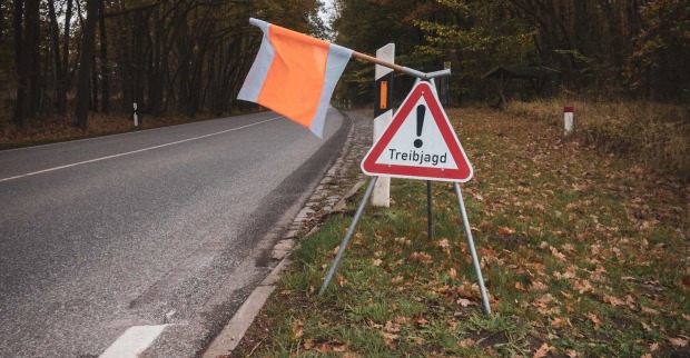 Hinweisschild "Treibjagd"