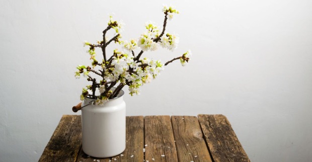 Barbarazweige stehen blühend in einer Vase auf einem Holztisch.
