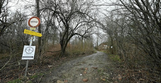 Waldweg in Wien
