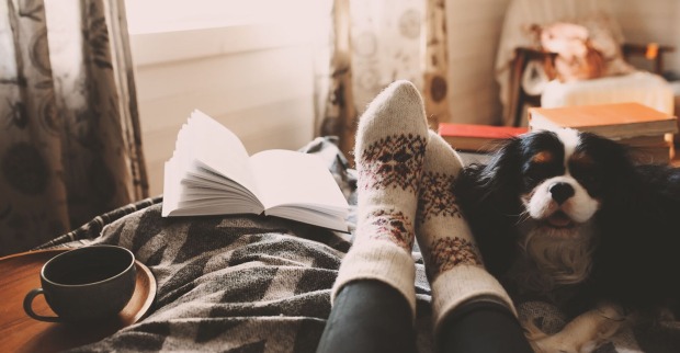 Frau liegt mit Hund auf der Couch | Credit: iStock.com/Mkovalevskaya